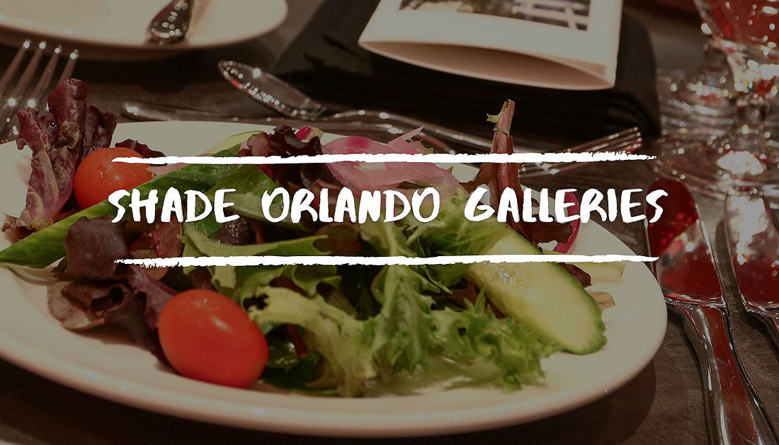 SShade Bar &amp; Grill Orlando - Food & Drink Gallery - Restaurant in Downtown Orlando FL