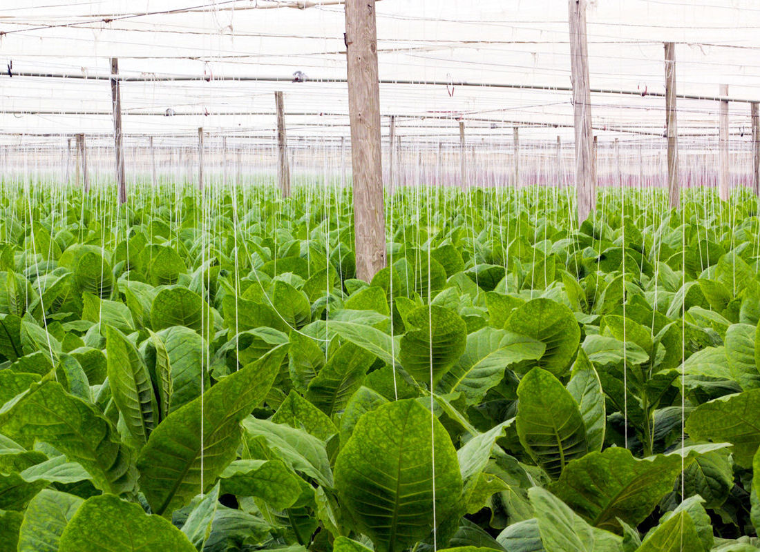 Shade Bar & Grill Orlando Sports Bar - Our Story