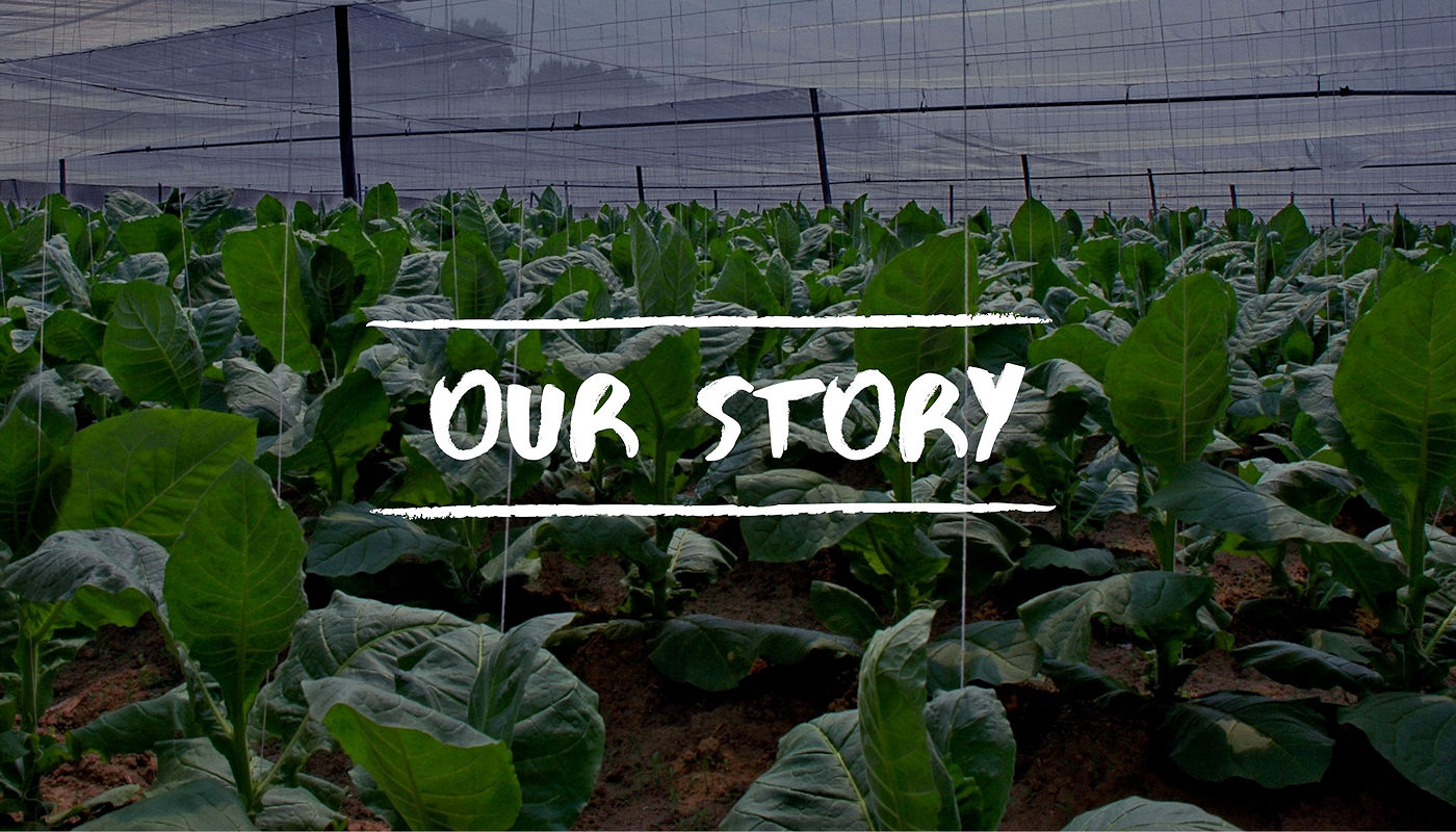 Shade Bar & Grill Orlando Sports Bar - Our Story